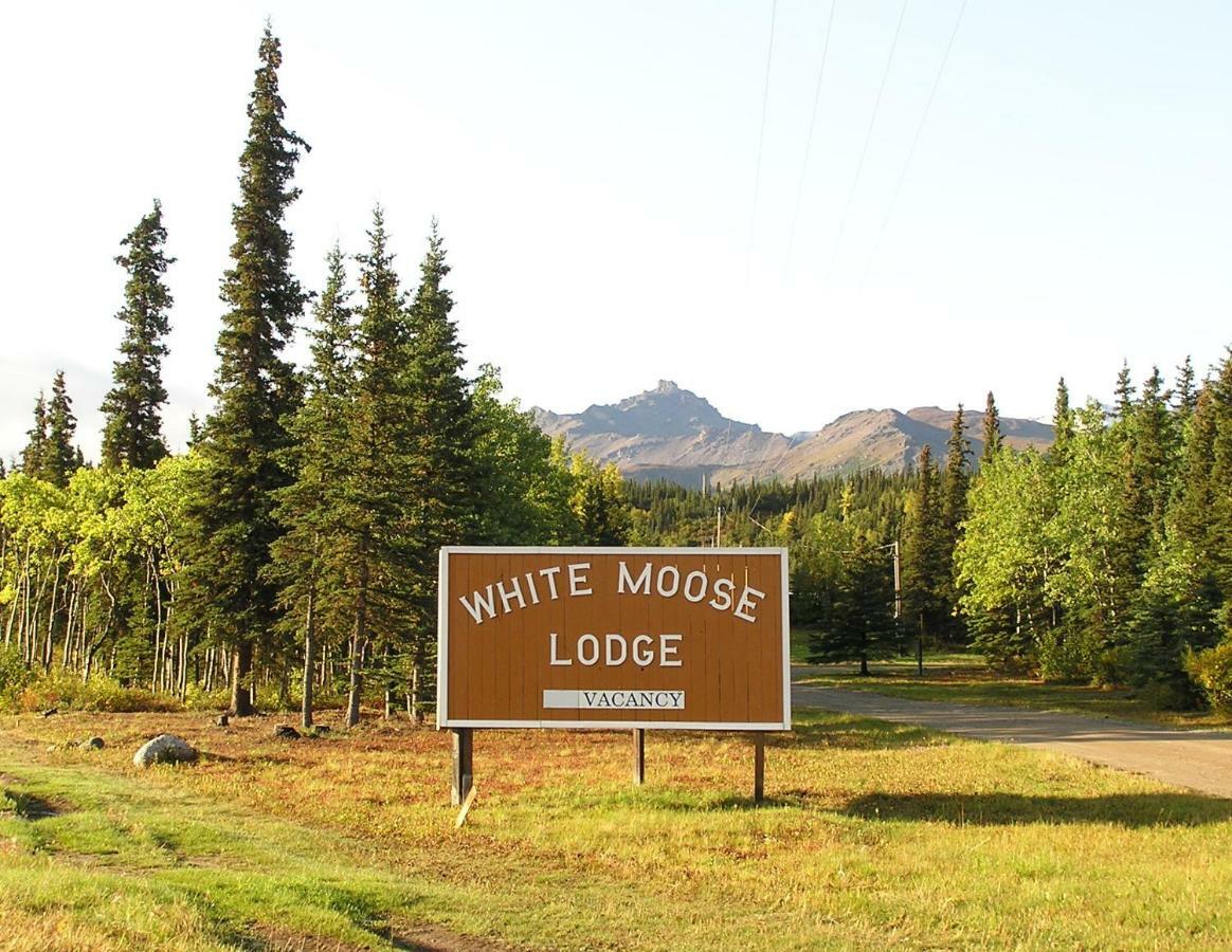 White Moose Lodge Healy Bagian luar foto