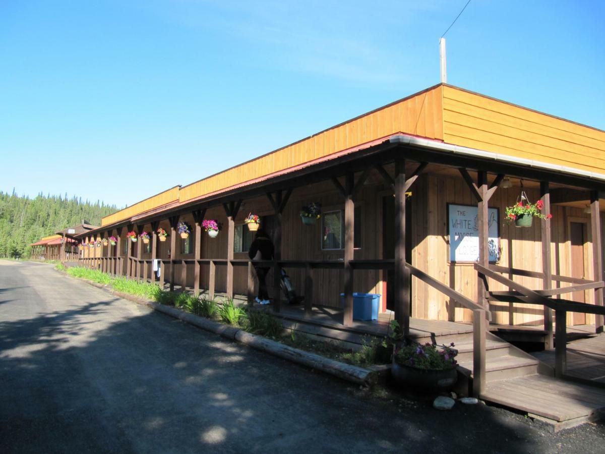 White Moose Lodge Healy Bagian luar foto