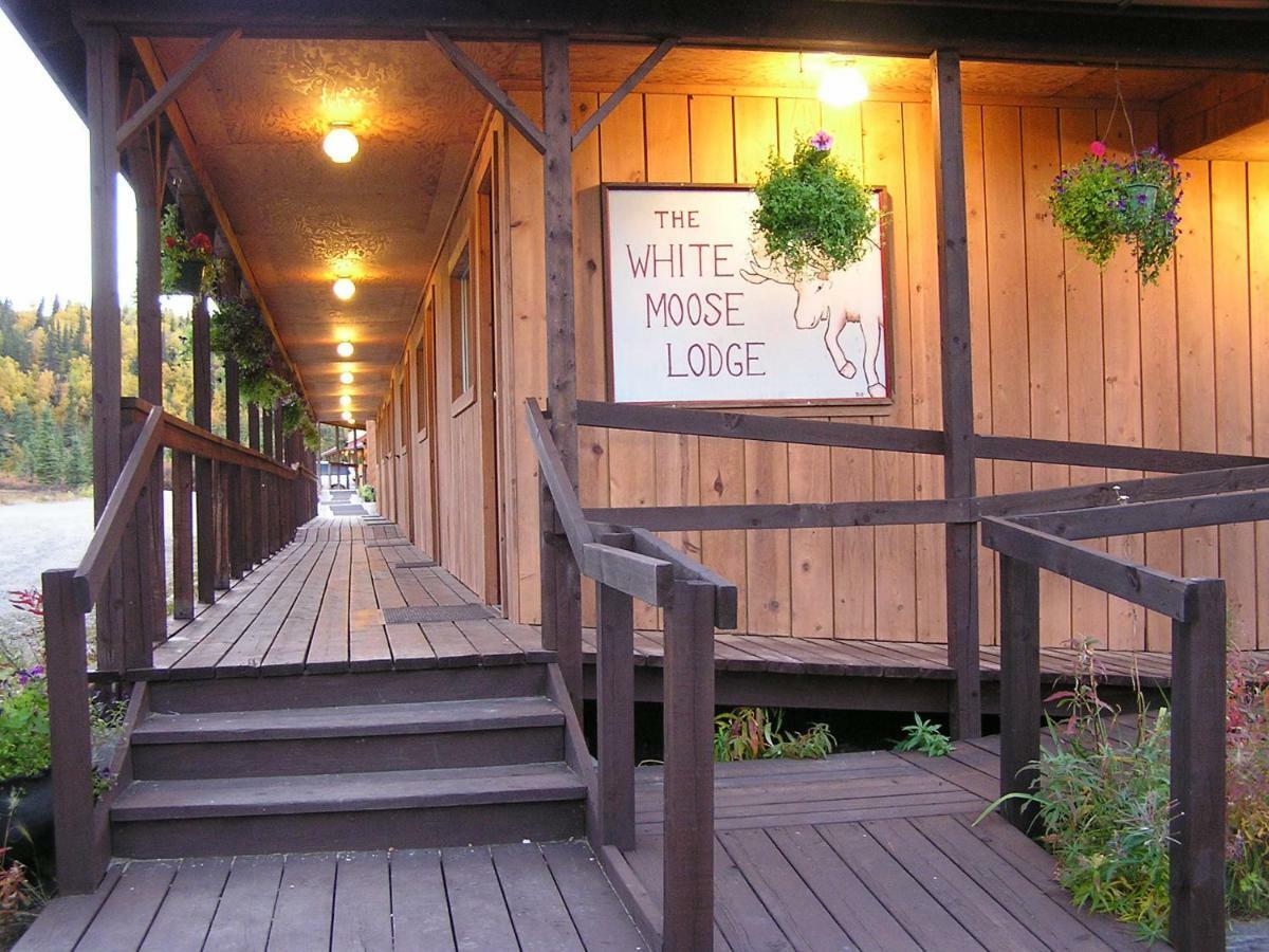 White Moose Lodge Healy Bagian luar foto