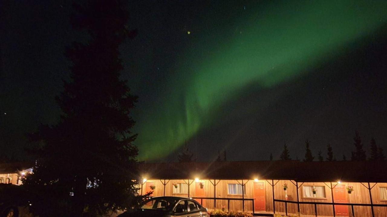 White Moose Lodge Healy Bagian luar foto
