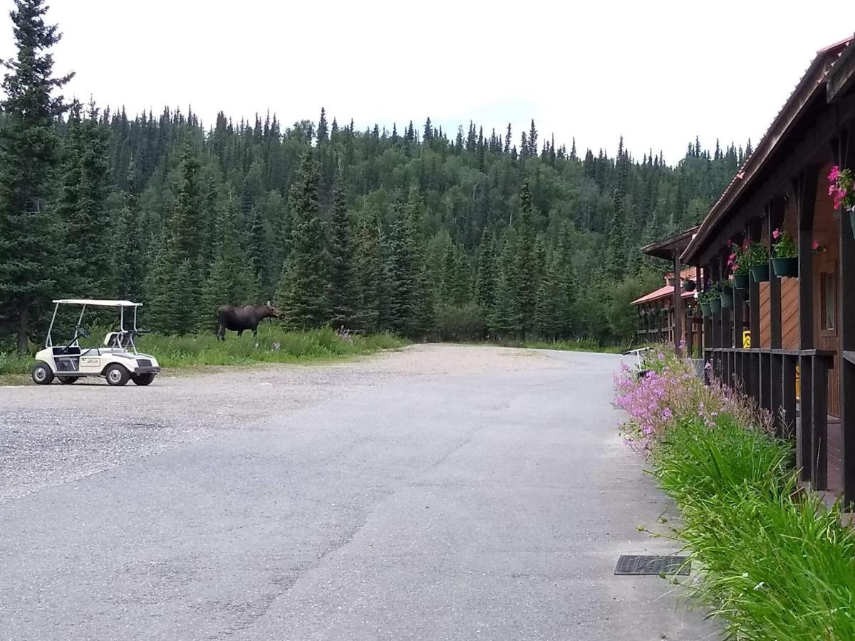 White Moose Lodge Healy Bagian luar foto